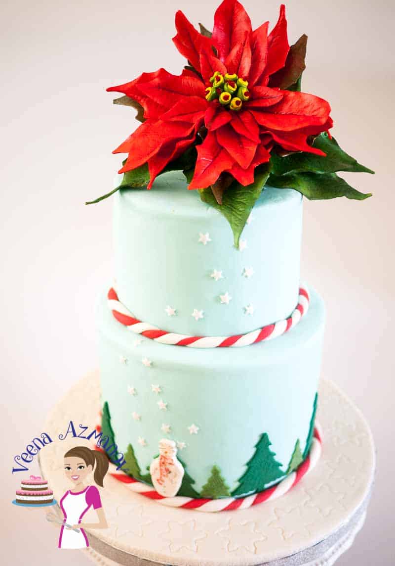 A Christmas theme cake with a sugar poinsettia flower on top.