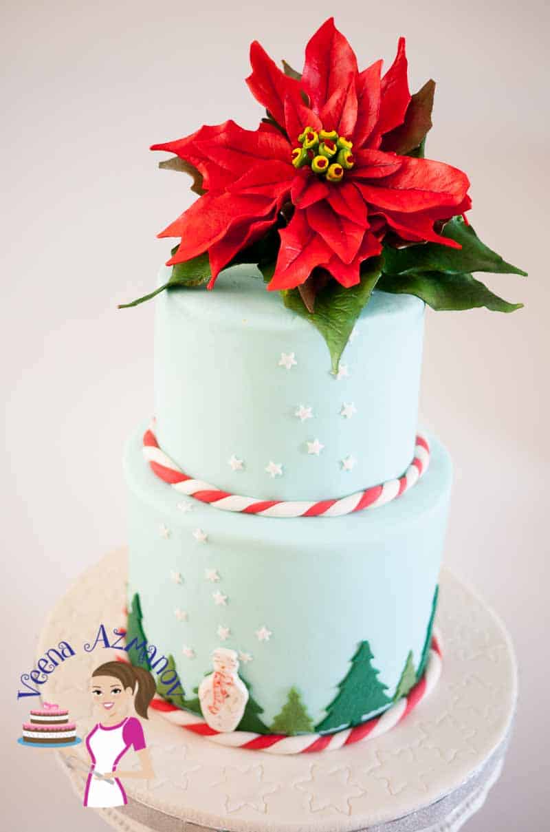 A Christmas theme cake with a sugar poinsettia flower on top.