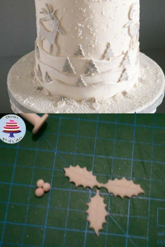 Frosted Christmas Cake Tutorial Veena Azmanov