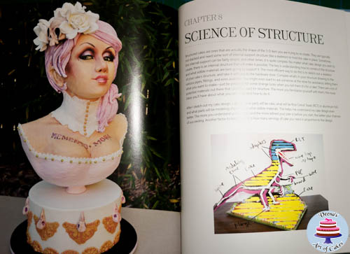 A photo of a cake decorating book page.