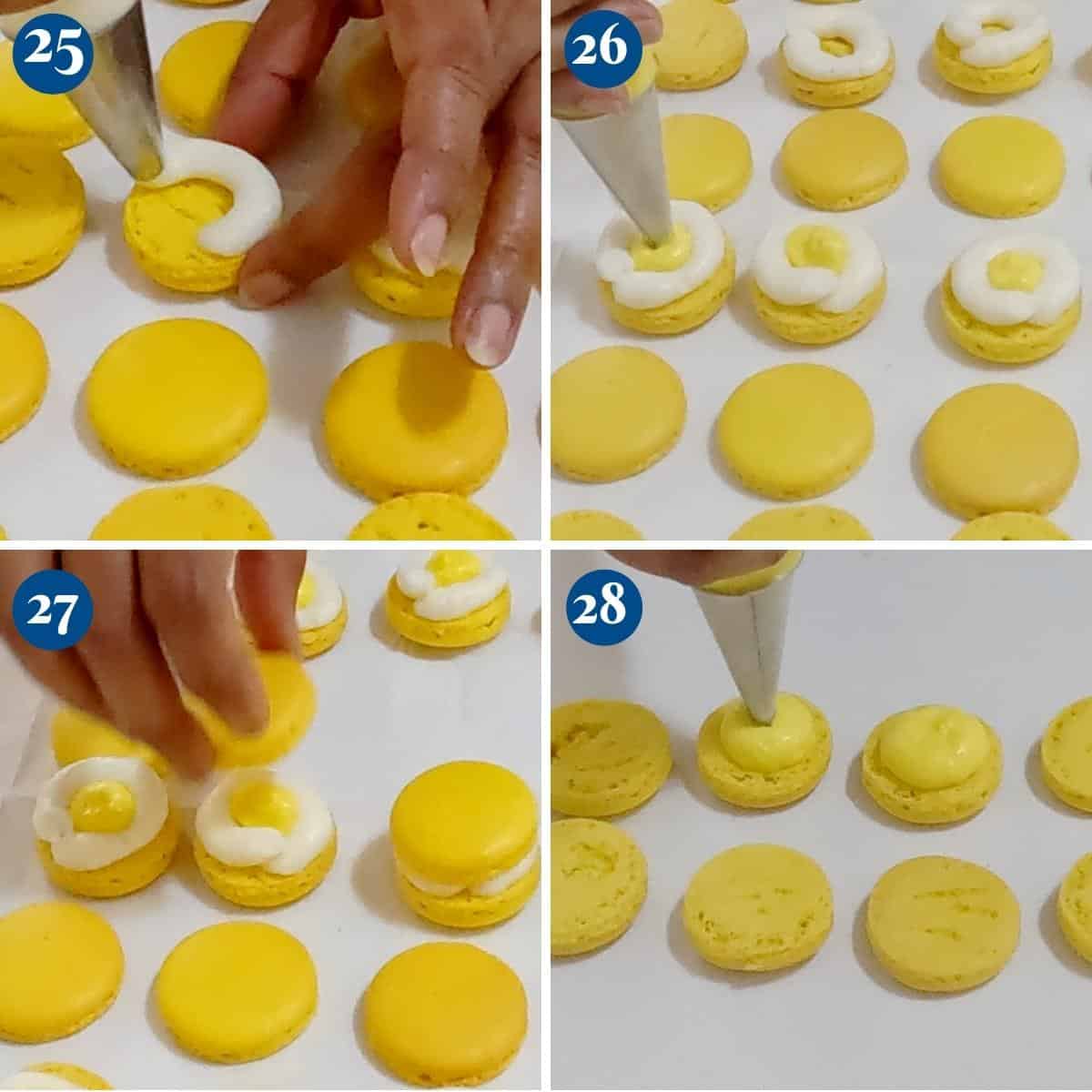Progress Pictures Filling lemon macarons.