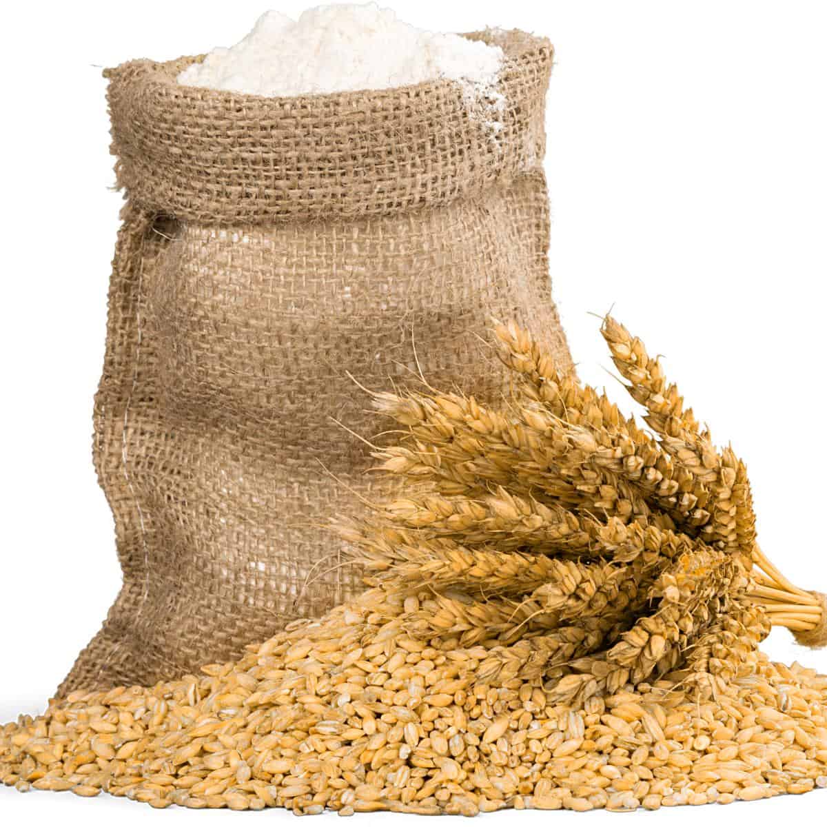 A sack of flour with wheat kernels.