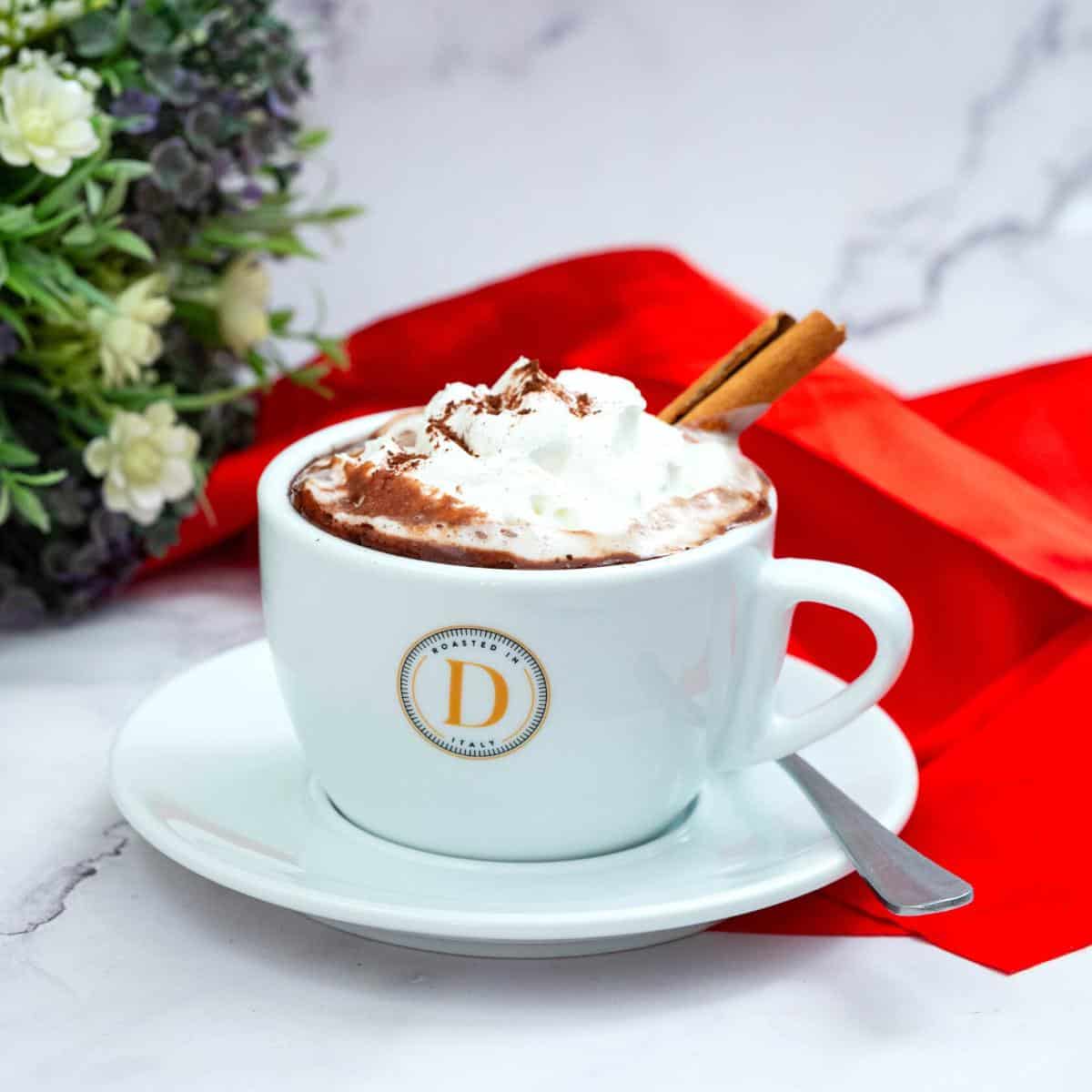 A white tea cup with French hot chocolate.