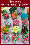 Ever wondered how to use Russian Buttercream Tips for Piping Flowers? Heres my recipes and tips