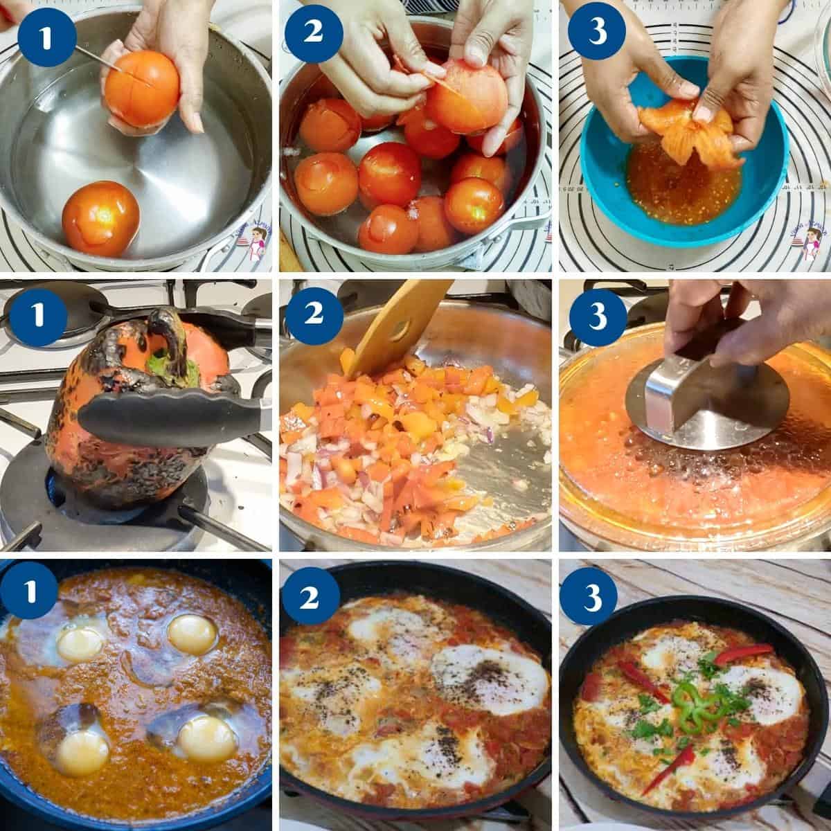 Progress pictures making shakshooka with fresh tomatoes,