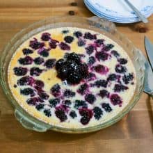 A pie pan with clafoutis and blackberries.