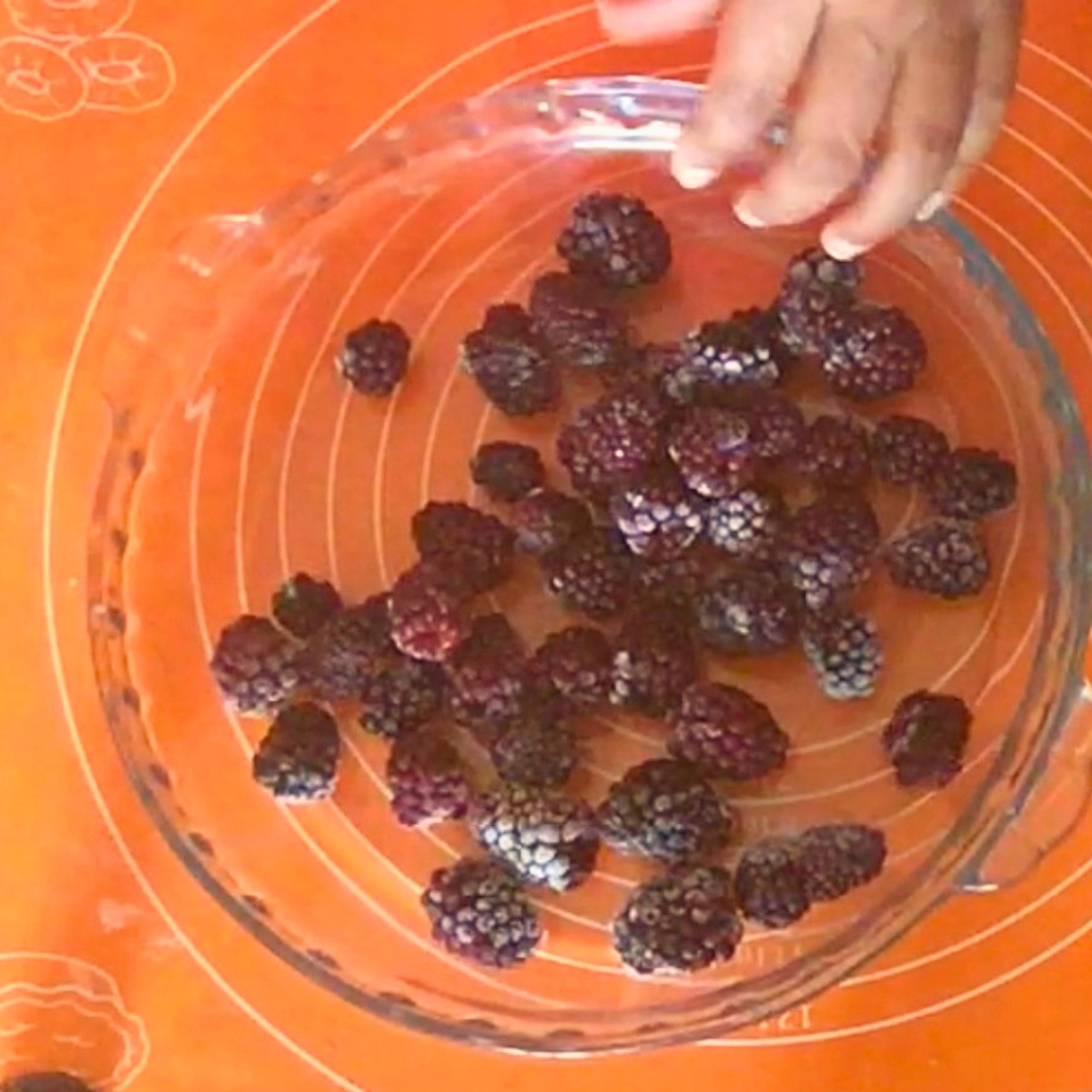 A pie pan with blackberries.