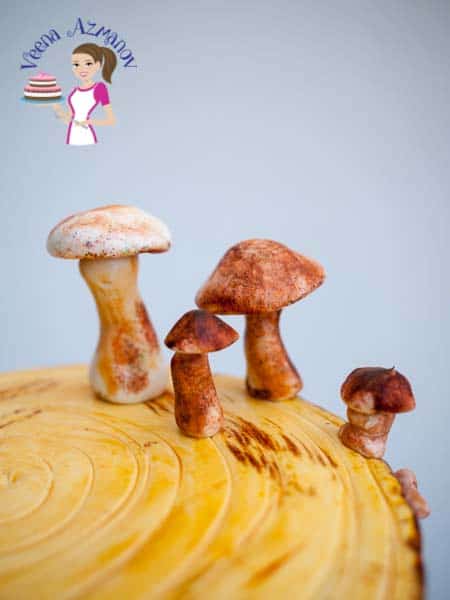 There are many ways to create a tree stump cake. In this video I show you how I created this hand painted tree stump cake with moss and sugar mushrooms too.