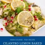 Pinterest image for baked cilantro fish.