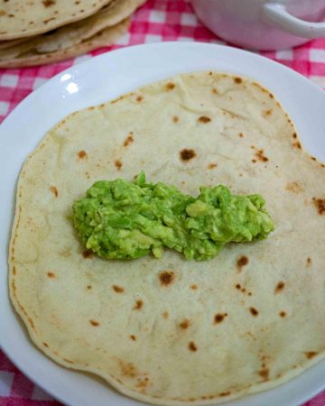 A plate with tortilla and guacamole.