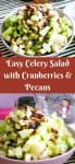 This simple and easy celery salad recipe is packed full with nutrition. Celery is a juicy vegetable and has a wonderful crunch that makes eating salad so refreshing and fun. Adding a bit of cranberries and pecan and you have a side dish everyone will crave.