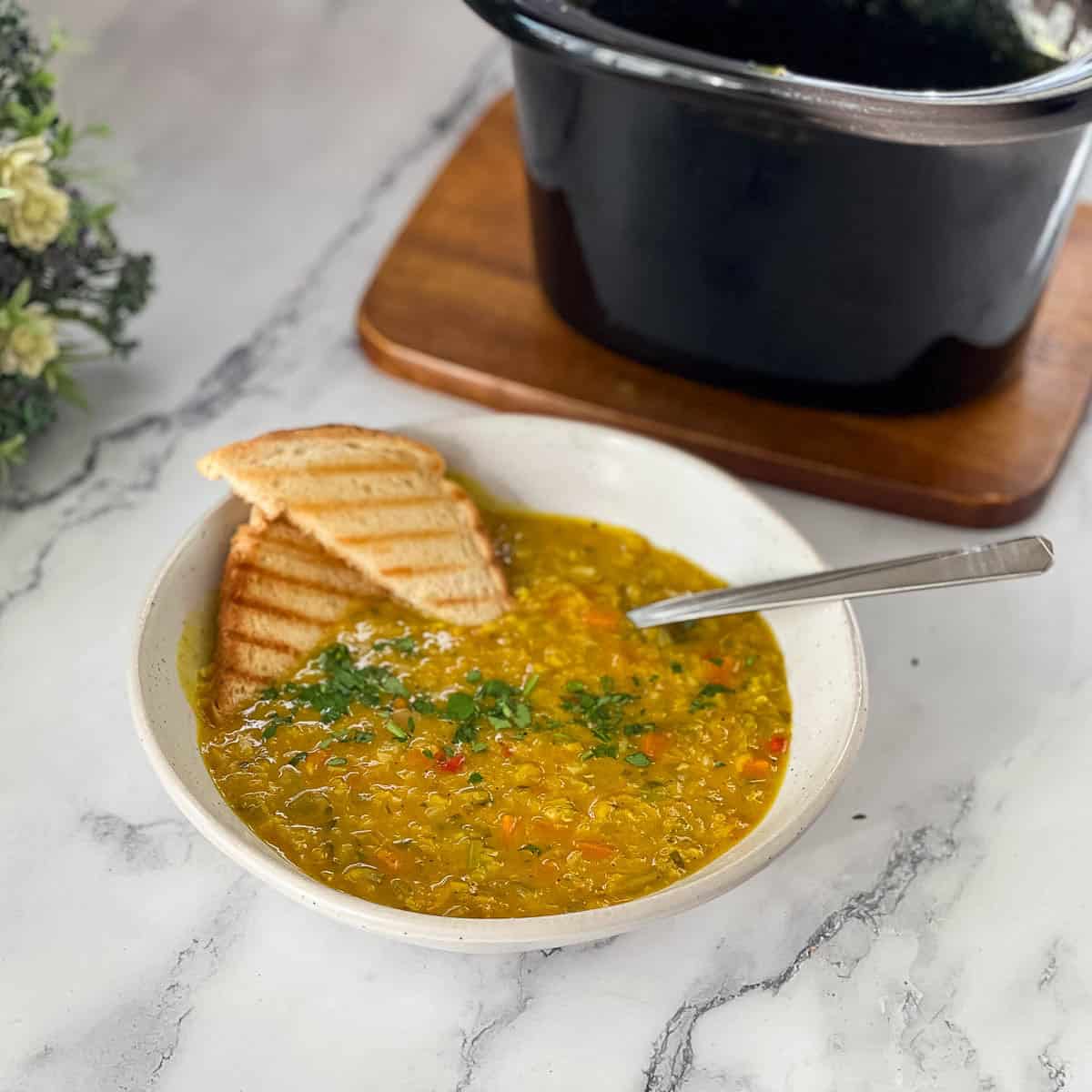 A bowl with slow cooker.