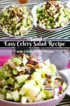 This simple and easy celery salad recipe is packed full with nutrition. Celery is a juicy vegetable and has a wonderful crunch that makes eating salad so refreshing and fun. Adding a bit of cranberries and pecan and you have a side dish everyone will crave.