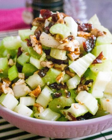 Celery salad in a bowl with cranberries.