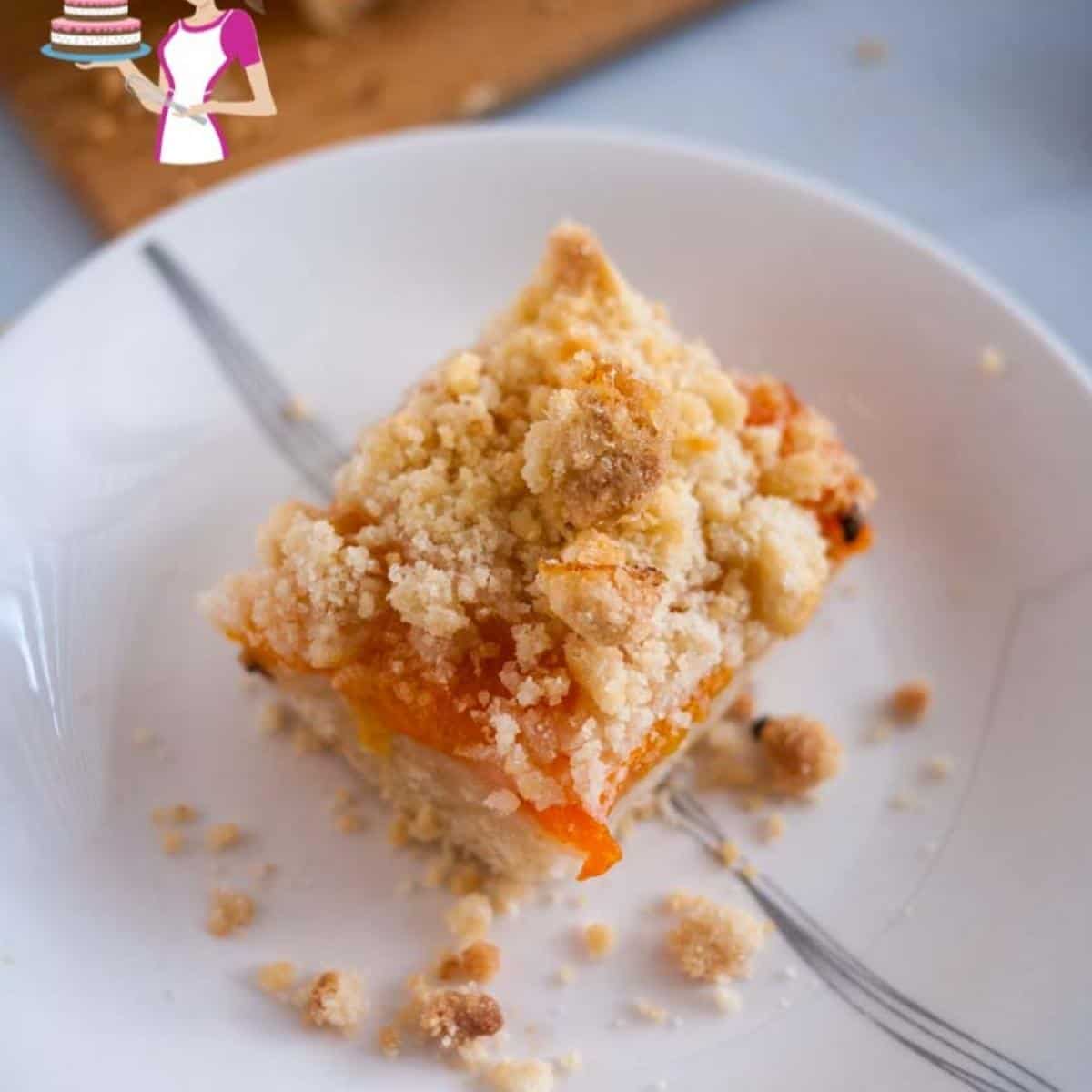A piece of apricot bar with curmble on a plate. 