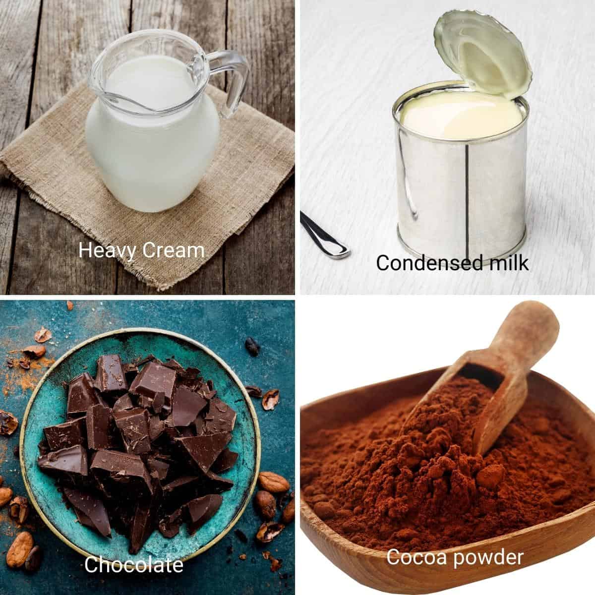 Ingredients for making chocolate ice cream.