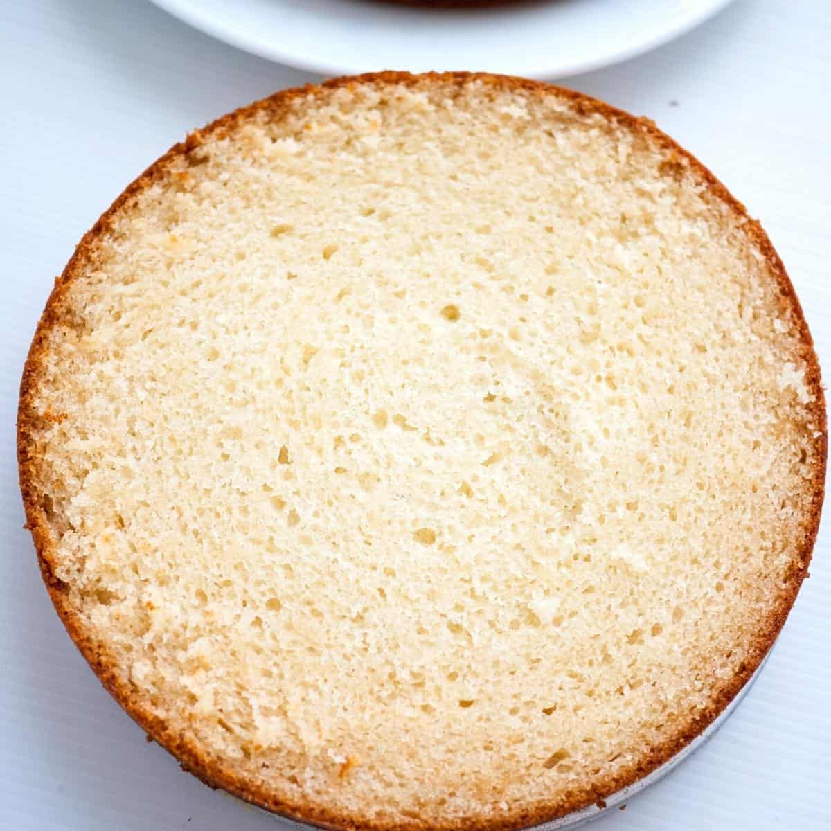 A torted vanilla cake showing the texture inside.