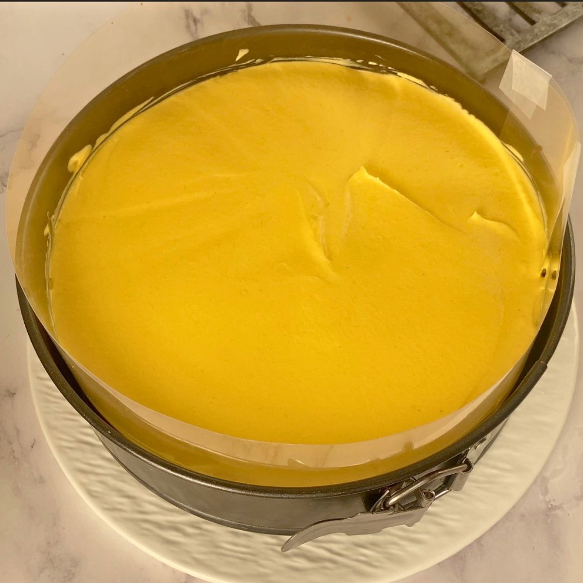 Mango mousse over the mango cake in spring form pan.