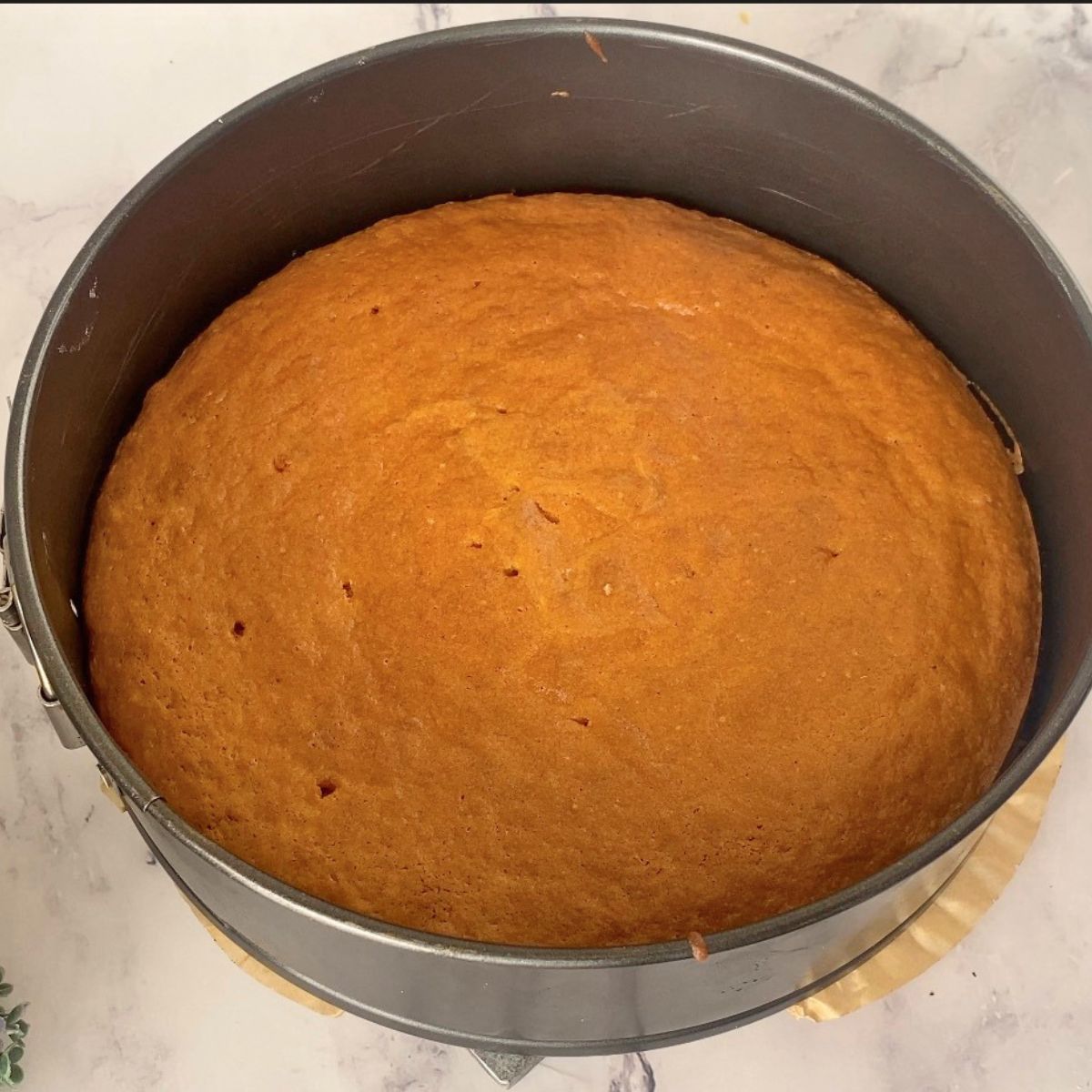 A baked mango cake in the pan.