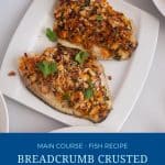Pinterest image for baked fish fillets with breadcrumbs.