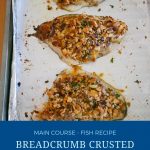 Pinterest image for breadcrumb baked fish fillets.