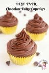 A cupcake with chocolate frosting.
