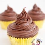 A cupcake with chocolate frosting.