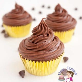 A cupcake with chocolate frosting.