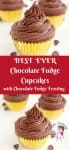 A cupcake with a chocolate frosting.