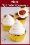 A red velvet cupcake with cream cheese frosting.