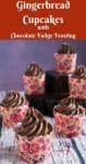 Cupcakes with chocolate frosting.