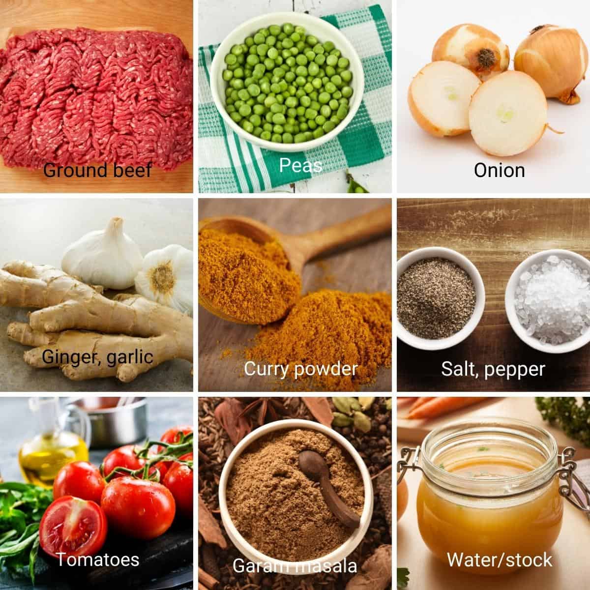 Ingredients for making minced curry with ground beef.