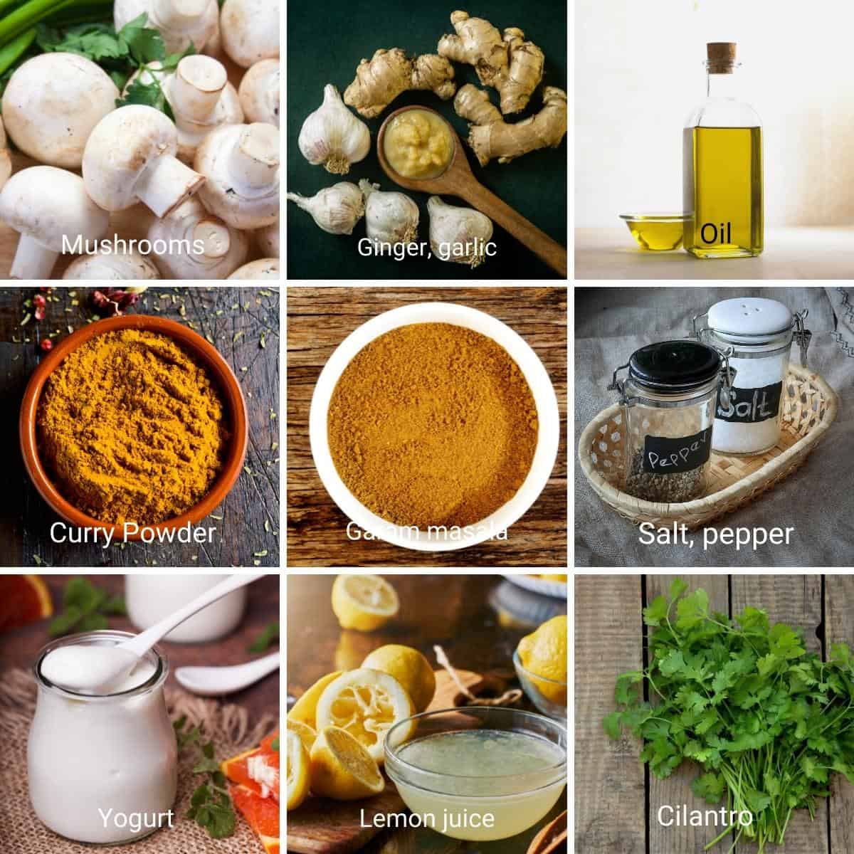 Ingredients shot collage - Mushroom masala.