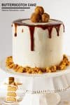 A cake on a cake stand.