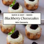 Pinterest image for Mini Blackberry Cheesecakes Recipe.