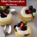 Pinterest image for baked blueberry mini cheesecakes.