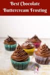 Cupcakes with chocolate frosting.