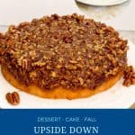 Pinterest image for a pecan cake.