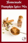 Spice mix in a small bowl.