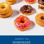 Pinterest image for pumpkin donuts.