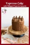 A cake glazed with ganache.