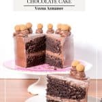 Pinterest image for gluten free chocolate cake.