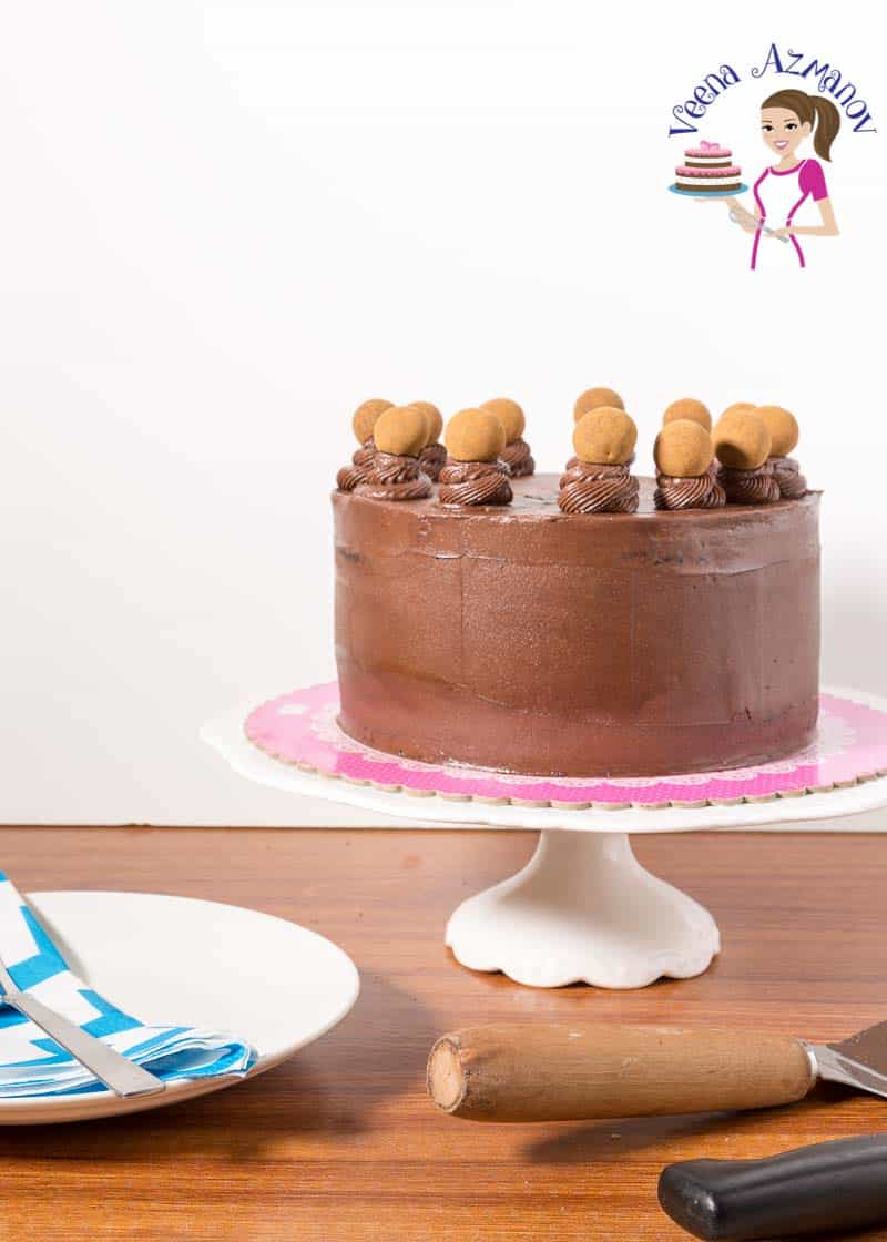 A chocolate cake on a cake stand.
