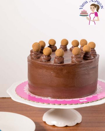 A chocolate cake sitting on top of a cake stand.