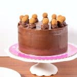 A frosted gluten free chocolate cake.