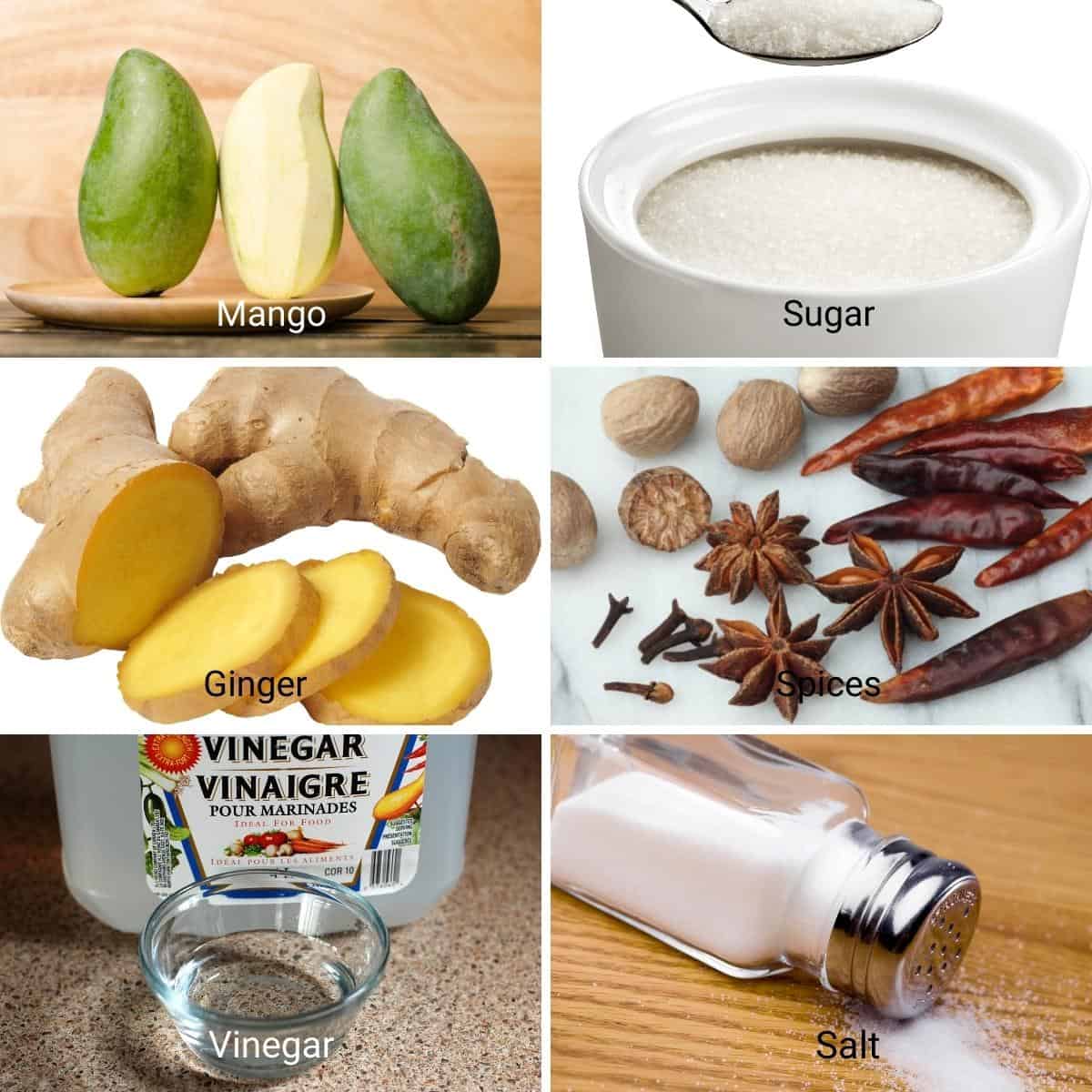 ingredients for a sweet mango chutney.