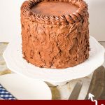 Pinterest image for chocolate fudge cake.