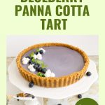 Pinterest image optimized for Panna Cotta tart with Blueberries.