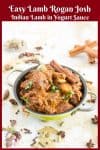 A bowl of lamb rogan josh.