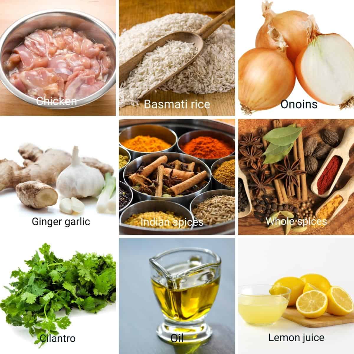 Ingredients for chicken biryani.